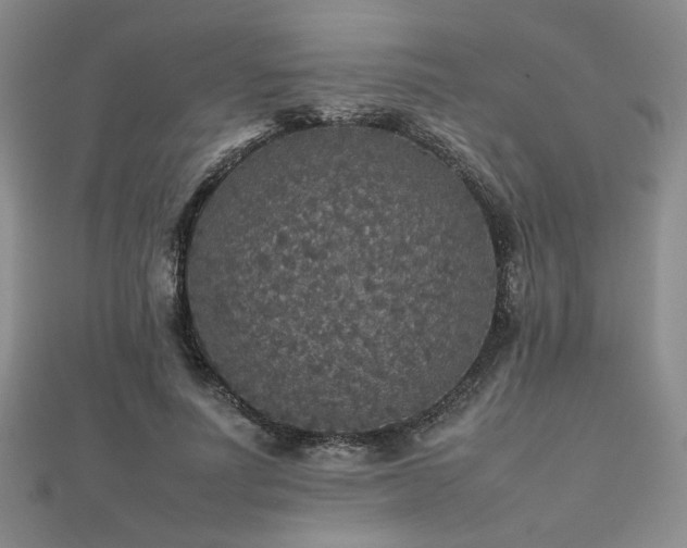 X0000112470691200908171158