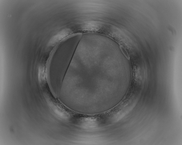 X0000112470692200908171158