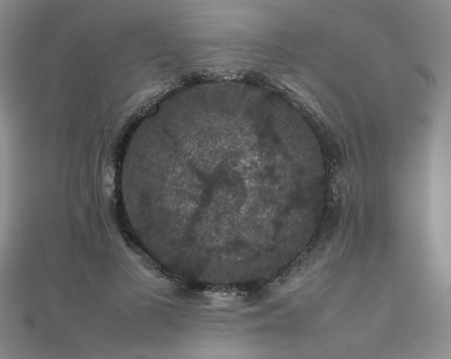 X0000112470693200908171158