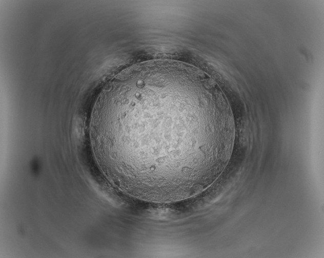 X0000112470695200908171158