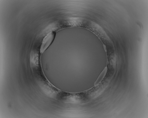 X0000112470696200908171158