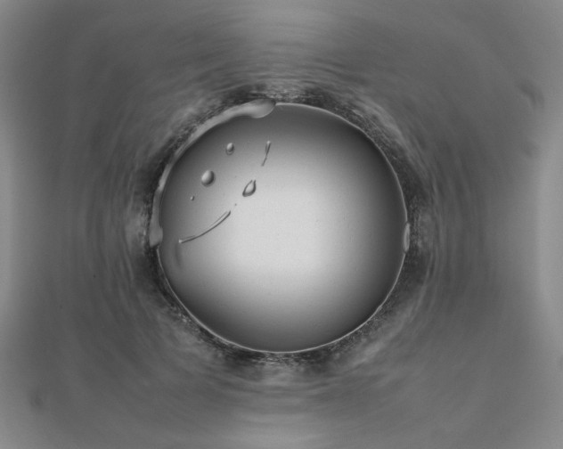 X0000112470697200908171158