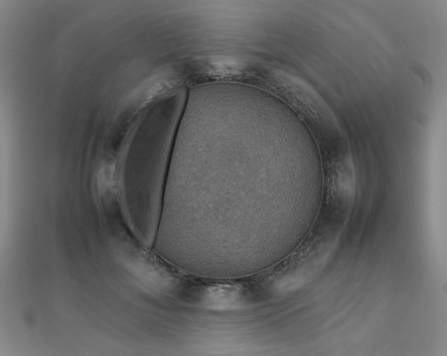 X0000112470700200908171158