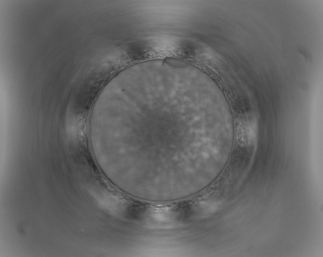 X0000112470701200908171158