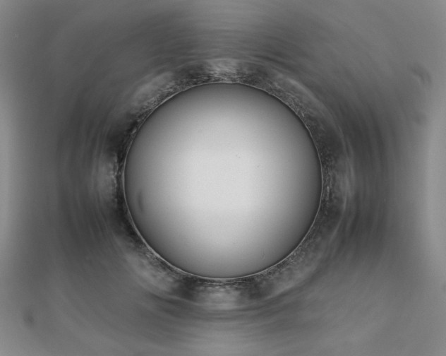 X0000112470702200908171158