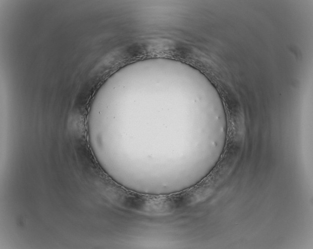 X0000112470705200908171158