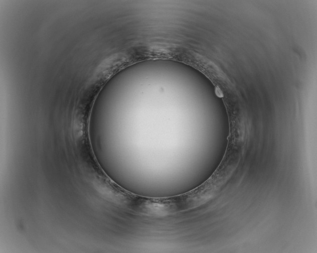 X0000112470706200908171158