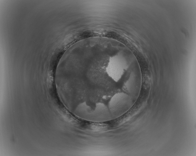 X0000112470707200908171158