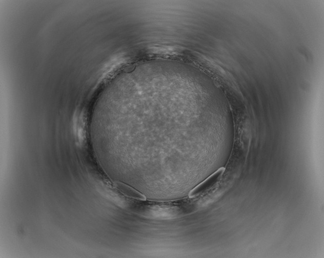 X0000112470708200908171158