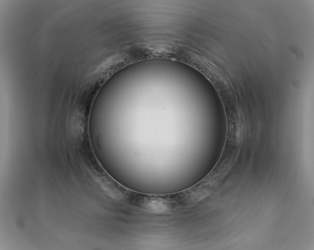 X0000112470710200908171158