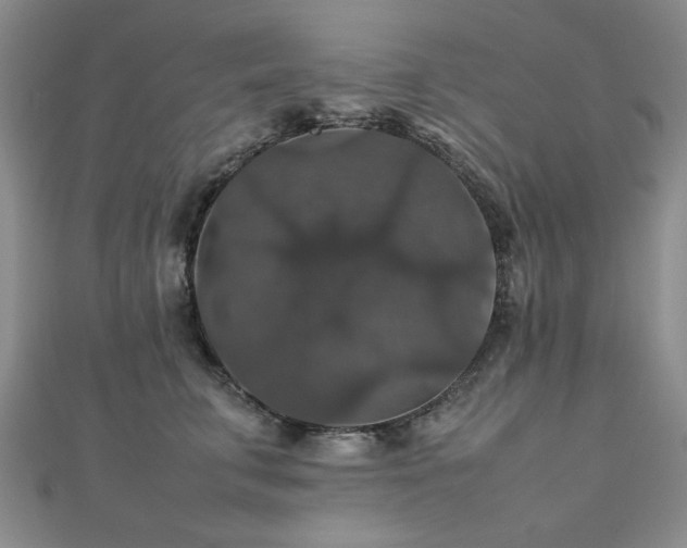 X0000112470711200908171158