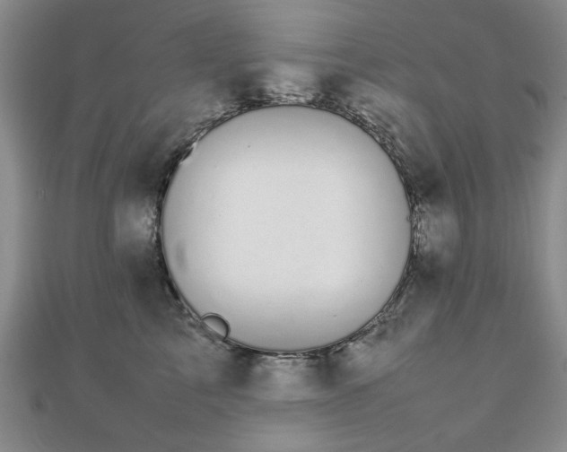 X0000112470713200908171158