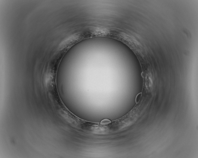 X0000112470714200908171158