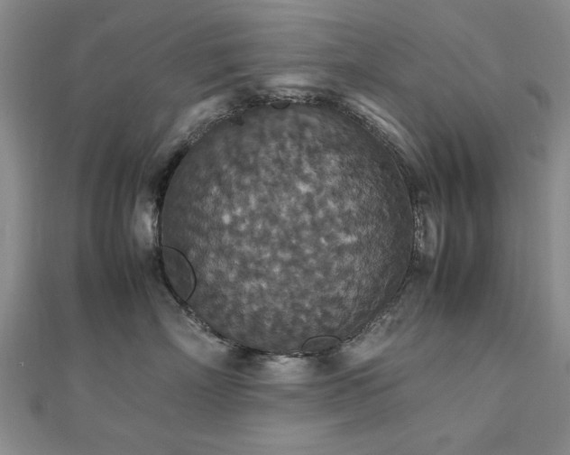 X0000112470718200908171158