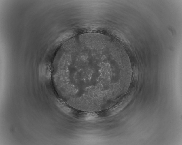 X0000112470719200908171158