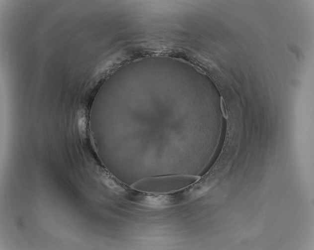 X0000112470720200908171158