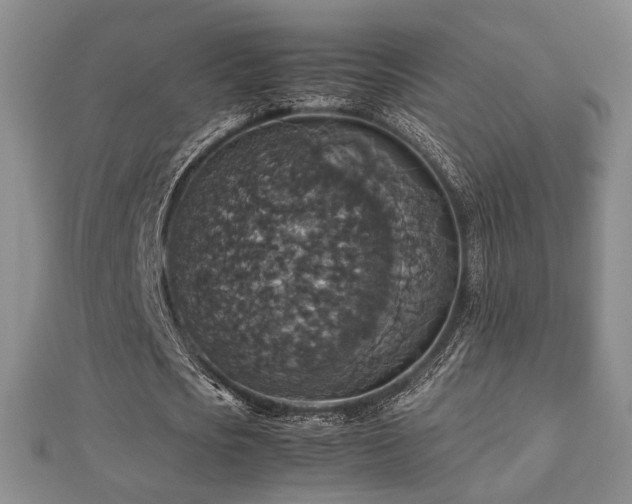 X0000112470721200908171157