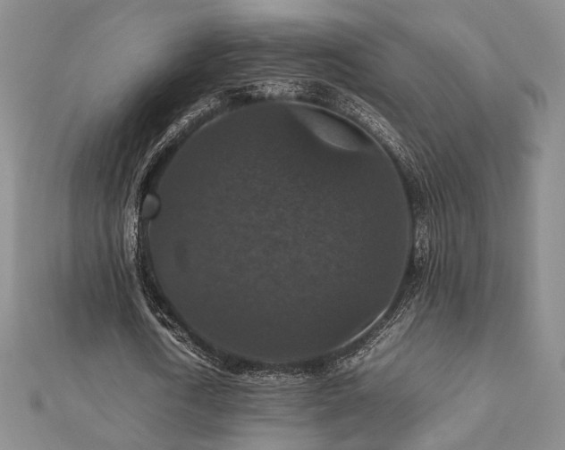 X0000112470722200908171157