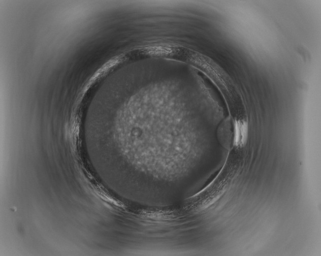 X0000112470723200908171157