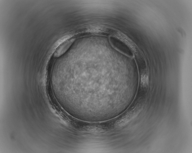 X0000112470724200908171157