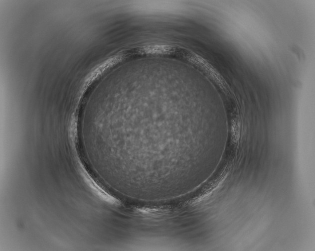 X0000112470725200908171157