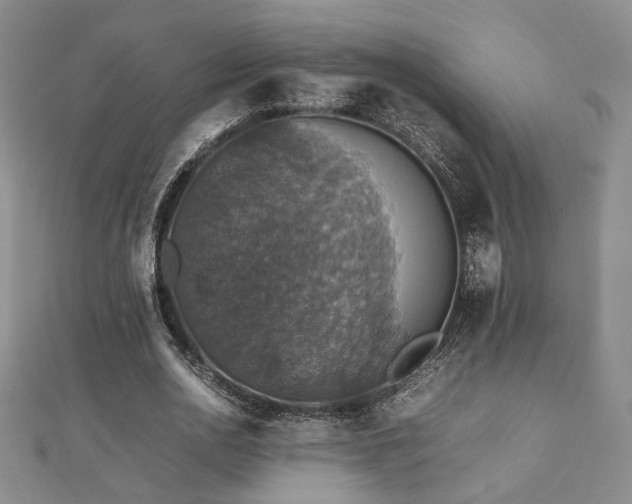 X0000112470726200908171157