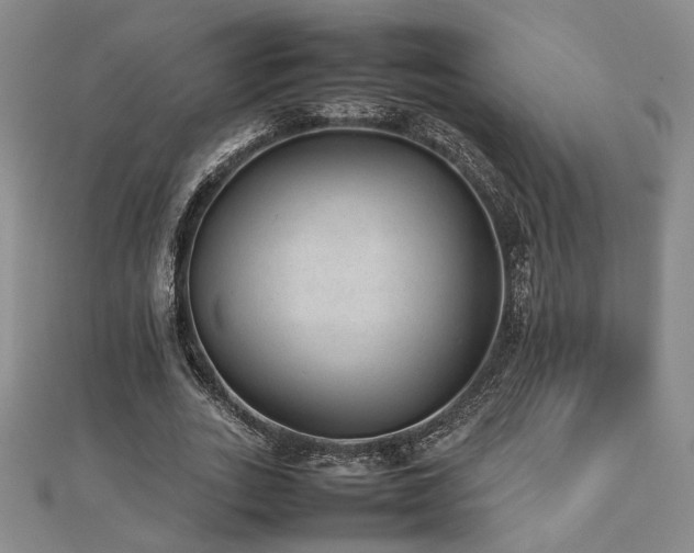 X0000112470727200908171157