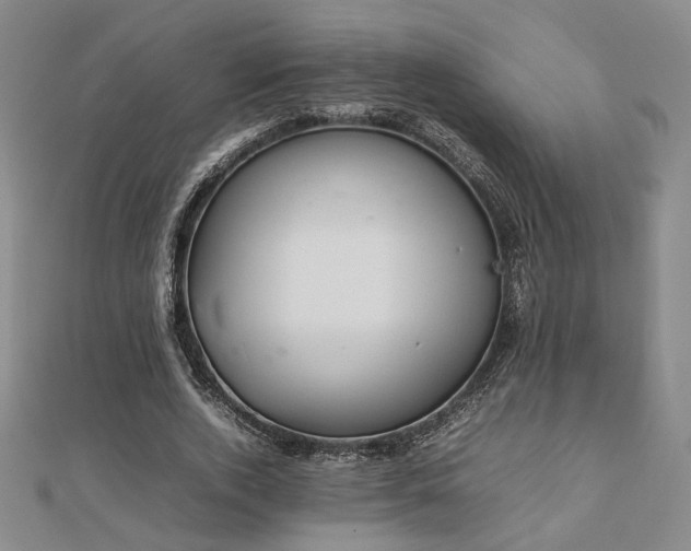 X0000112470728200908171157