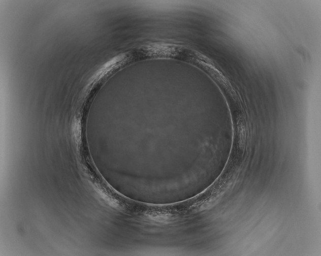 X0000112470729200908171157