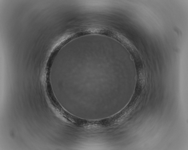 X0000112470730200908171157