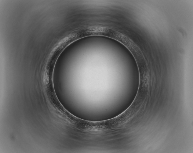 X0000112470731200908171157