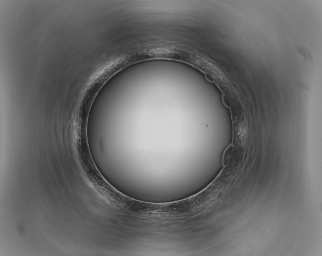 X0000112470732200908171157