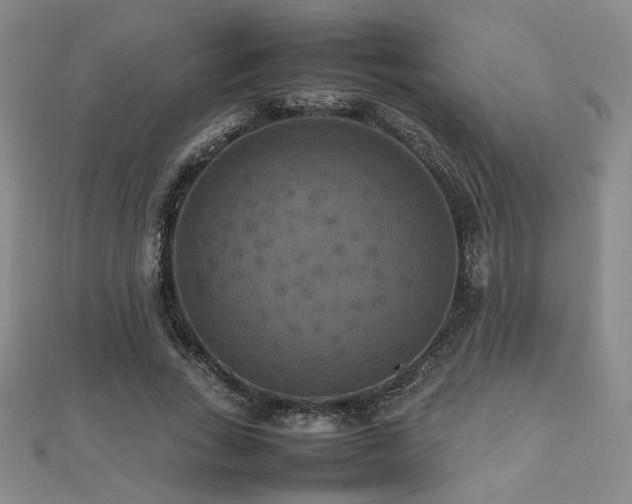 X0000112470735200908171157