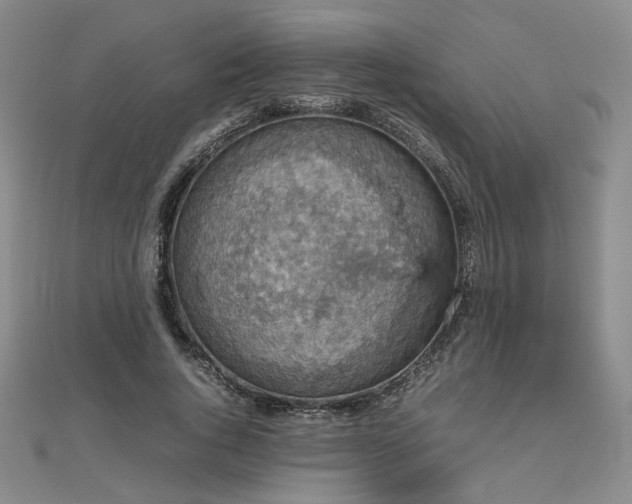 X0000112470736200908171157