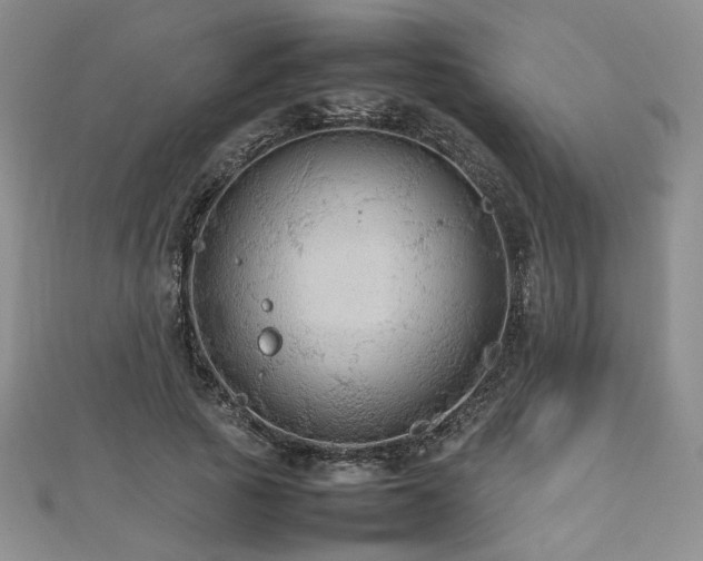 X0000112470737200908171157