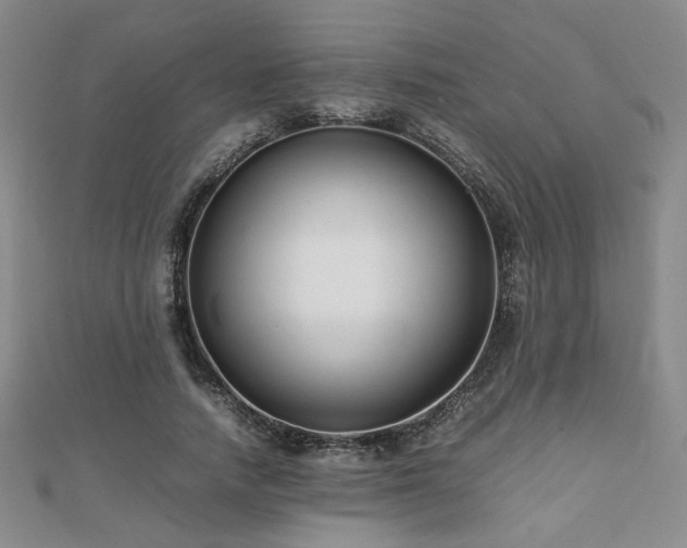 X0000112470738200908171157