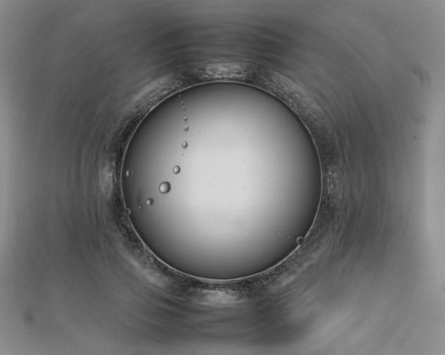 X0000112470741200908171157