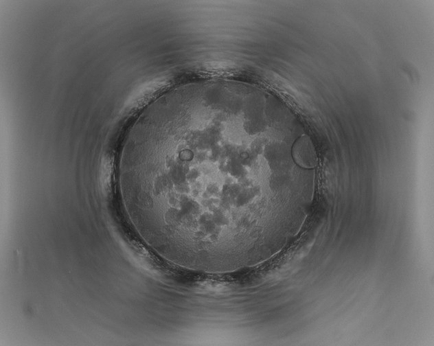 X0000112470742200908171158