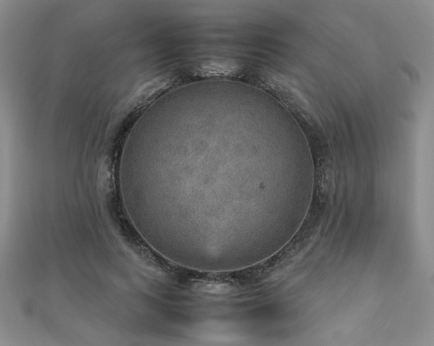 X0000112470743200908171158