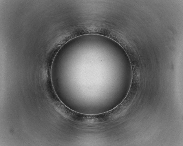 X0000112470746200908171158