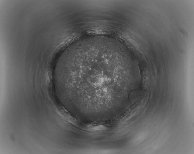 X0000112470747200908171158