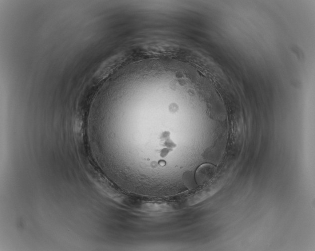 X0000112470749200908171158