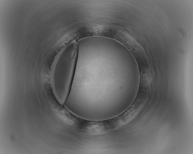 X0000112470750200908171158