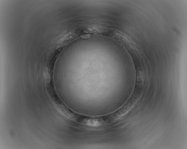 X0000112470751200908171158