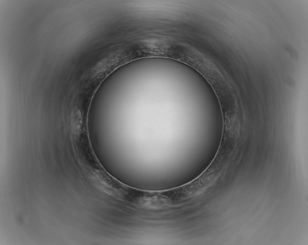 X0000112470752200908171158