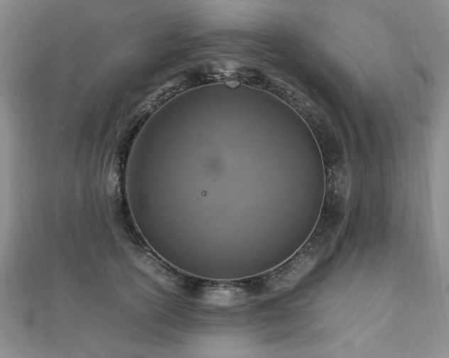 X0000112470754200908171158