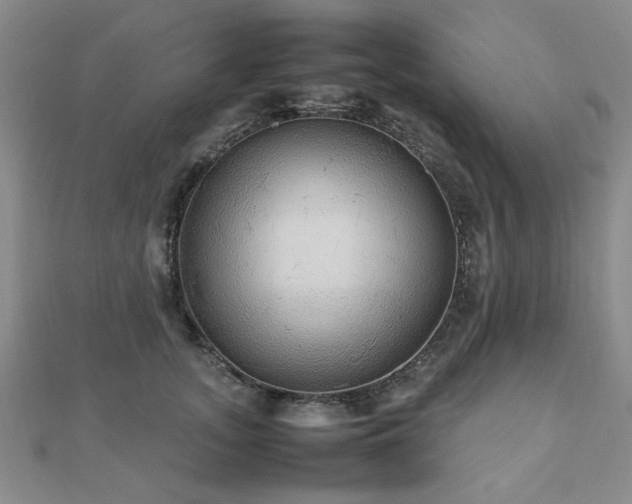 X0000112470755200908171158