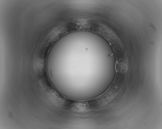 X0000112470756200908171158