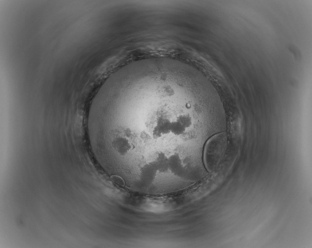 X0000112470757200908171158