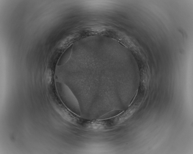 X0000112470758200908171158